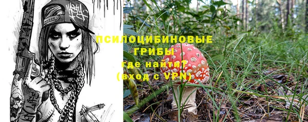 mdpv Кинешма