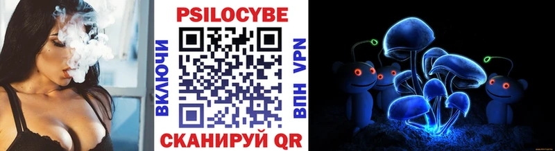 Купить где  Сатка  Галлюциногенные грибы мицелий 